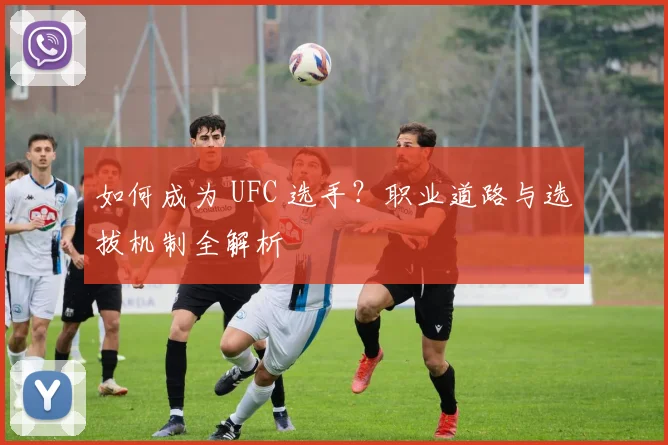 如何成为 UFC 选手？职业道路与选拔机制全解析