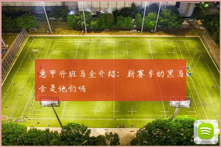 意甲升班马全介绍：新赛季的黑马会是他们吗