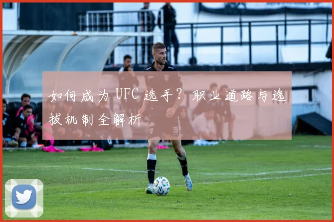 如何成为 UFC 选手？职业道路与选拔机制全解析