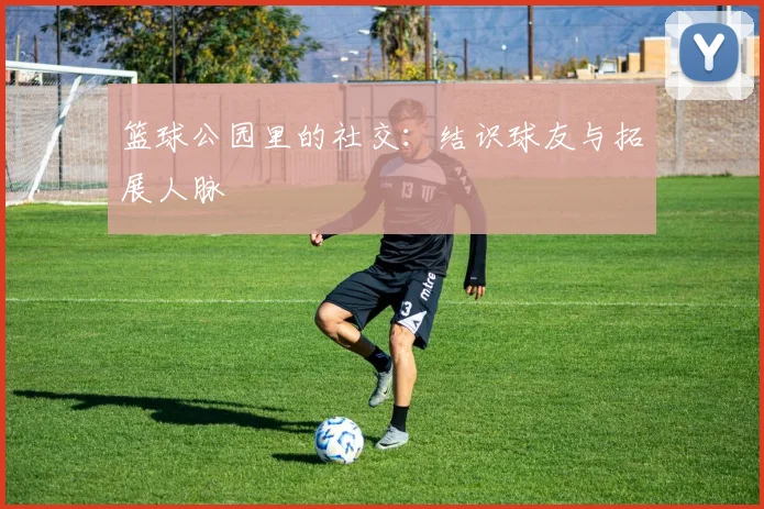 篮球公园里的社交：结识球友与拓展人脉